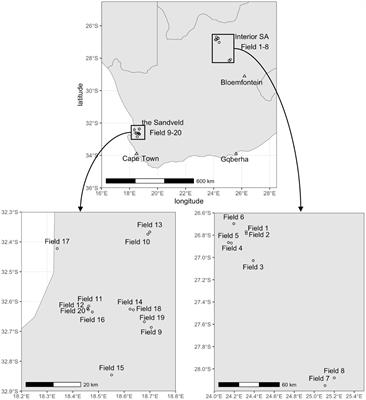 In-field assessment of the variability in water and nutrient use efficiency among potato farmers in a semi-arid climate